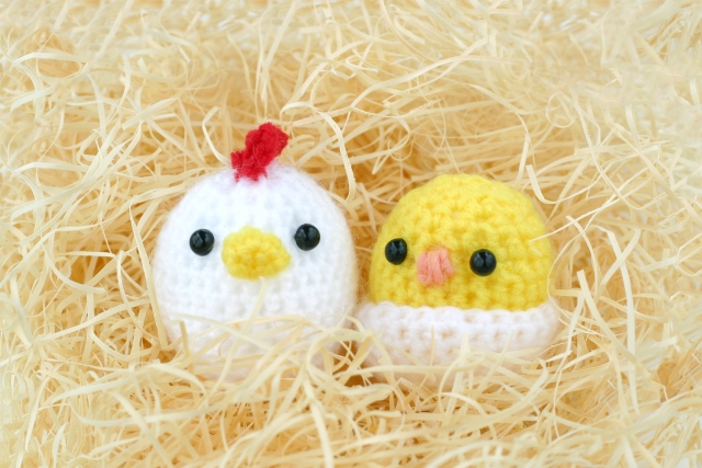 カメラを使ってみよう